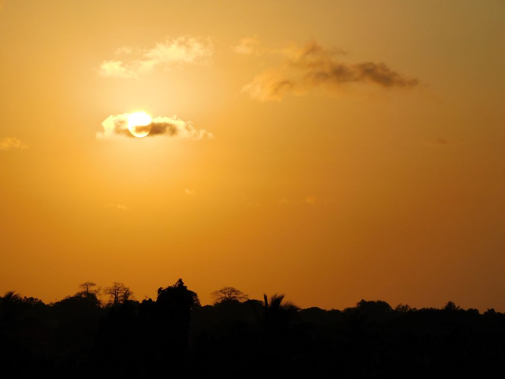 Sunset from the Mangrove Island on the Kilifi Creek